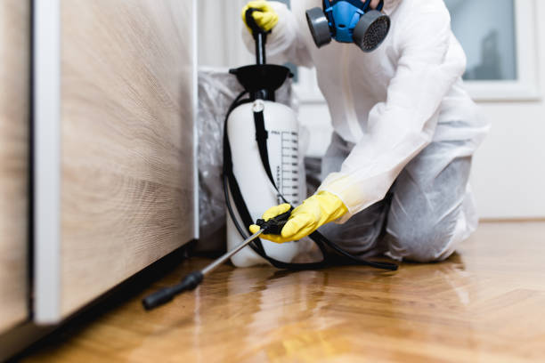 Best Emergency Pest Control  in Lincoln, MO