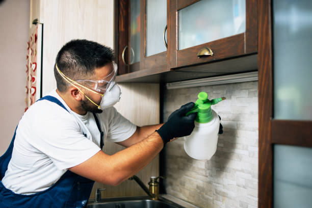 Best Affordable Pest Control Services  in Lincoln, MO