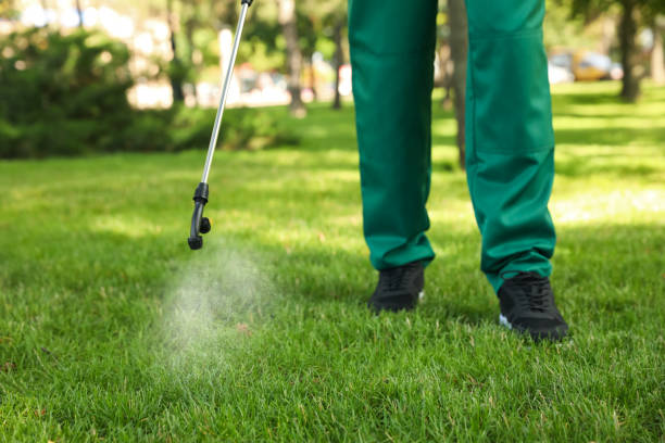 Best Pest Inspection Near Me  in Lincoln, MO
