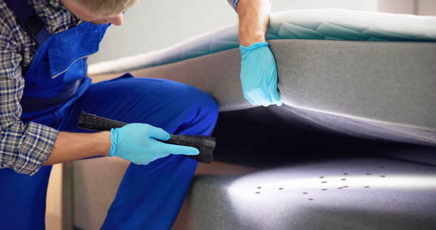 Best Affordable Pest Control Services  in Lincoln, MO