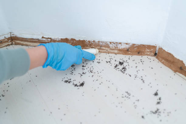 Lincoln, MO Pest Control Company